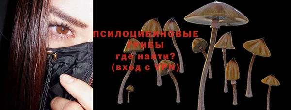 прущая мука Лабытнанги