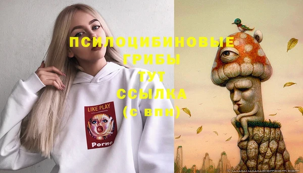 прущая мука Лабытнанги