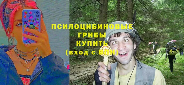 прущая мука Лабытнанги